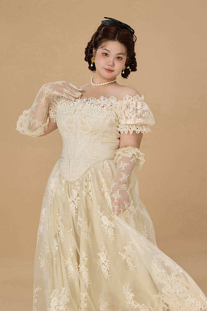 French Lace Plus Size One Piece Dress Plus Size Dresses for Women