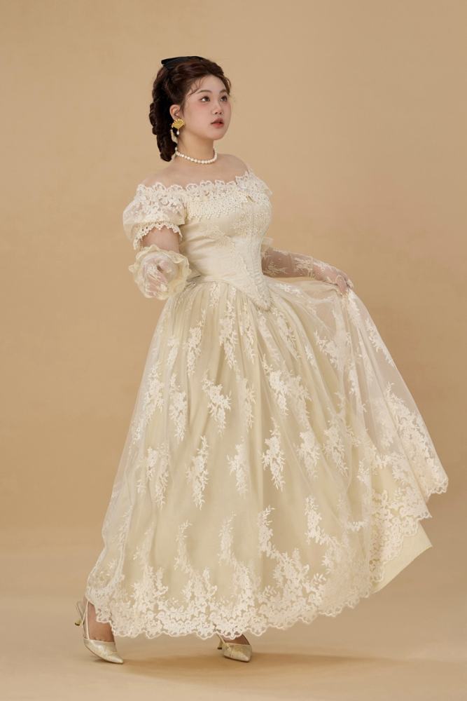 French Lace Plus Size One Piece Dress Plus Size Dresses for Women