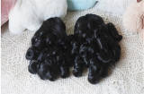 Roman Sweetheart Bobo Cut Lolita Wig and  Roman Curls Double Ponytails