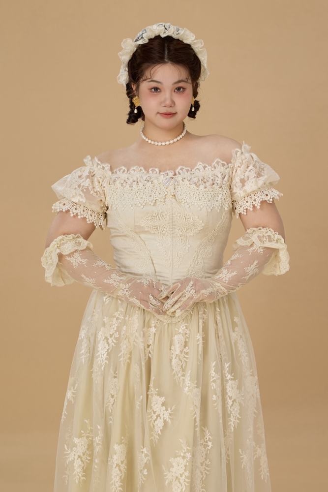 French Lace Plus Size One Piece Dress Plus Size Dresses for Women