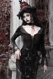 Blood Supply Scarlet Blood Peak Gothic Dress