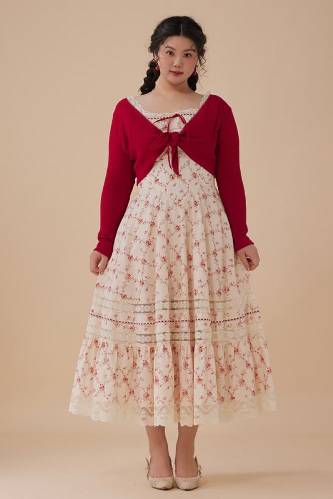 French Lace Printed Plus Size One Piece Dress Plus Size Dresses for Women