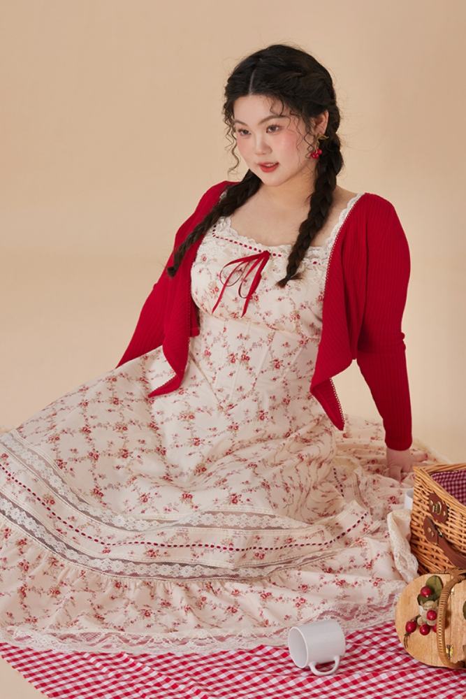 French Lace Printed Plus Size One Piece Dress Plus Size Dresses for Women