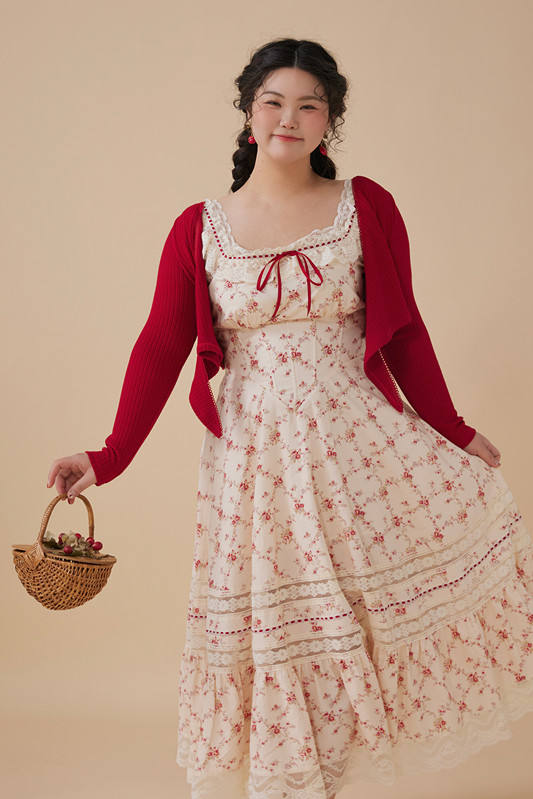 French Lace Printed Plus Size One Piece Dress Plus Size Dresses for Women