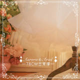 78cm Daily Wear Auroa&Ariel Soft Organza Plus Size Petticoat