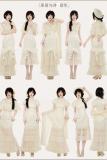 Withpuji Letter and Poetry Qi Lolita Dress Apricot Accessories