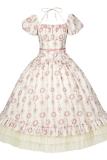 Withpuji Roses after Rain Apricot Printed Dress Lolita Clothes