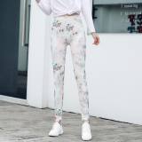 Spring Printed Thin Pink Lolita Tights
