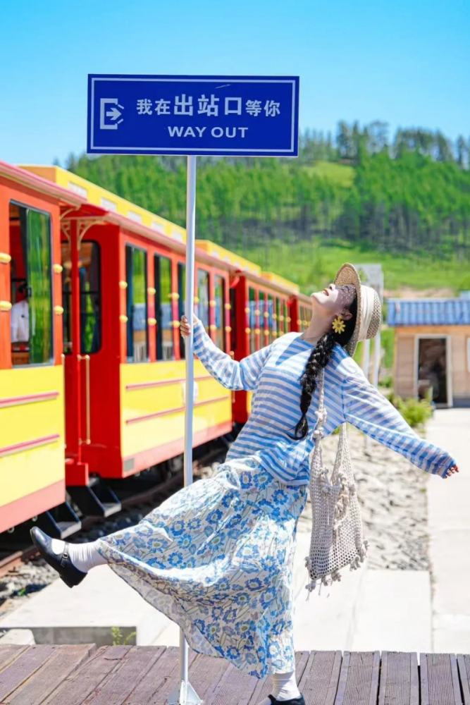 Bring Dreams Travel Poppy Flowers Skirt Mori Kei Clothing