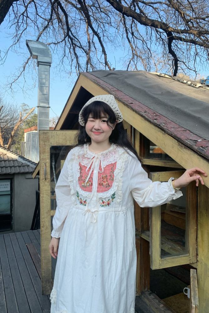 Retro Lace Long Sleeve Dress Mori Kei Fashion
