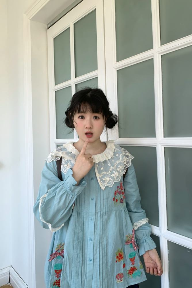 Daily Embroidered Skirt Blue Blouse Mori Kei Outfits