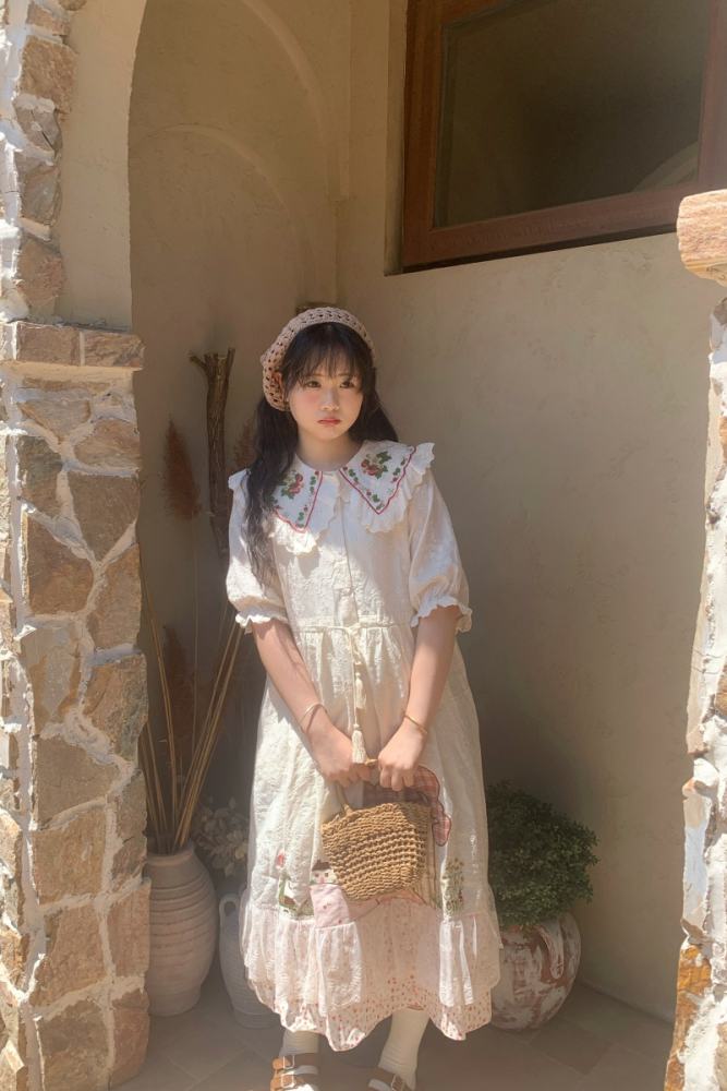 Retro Lapel Print Dress Mori Kei Style