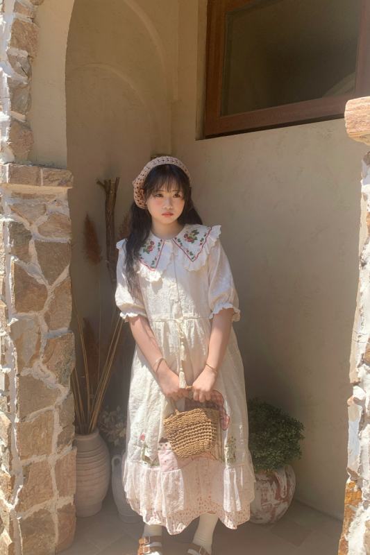 Retro Lapel Print Dress Mori Kei Style