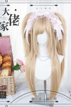 Dalao Home Long Straight Lolita Wig and Ponytail Claw Clips