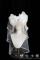 White Headbow