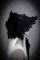 Black Bonnet