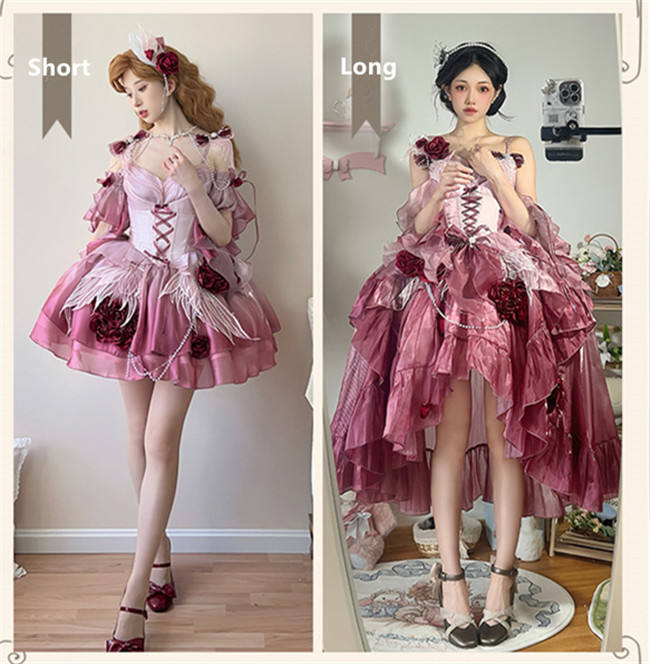 Meowing and Fruity Swan Wonderland Princess Dress Full Set