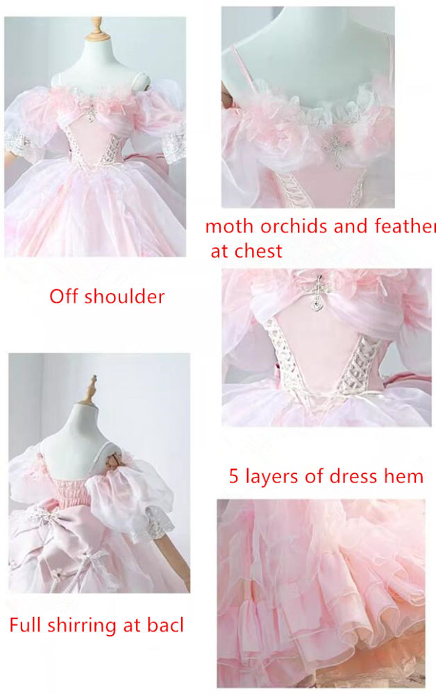 Plus Size Pink Wedding Dress Long Formal Lolita Dress