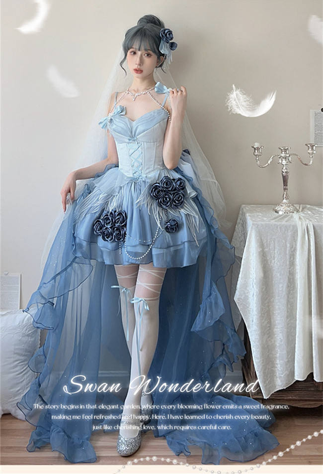 Meowing and Fruity Swan Wonderland Princess Dress Full Set