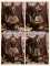 Brown Long Sleeve Blouse