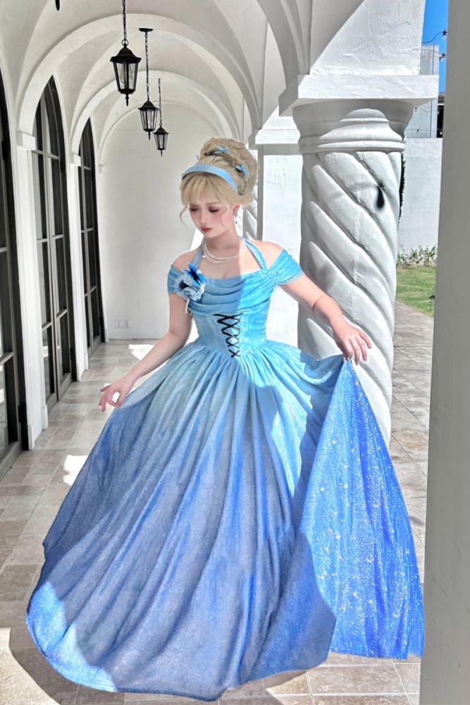 Rose Ruins Floor Length Sweet Formal Dress