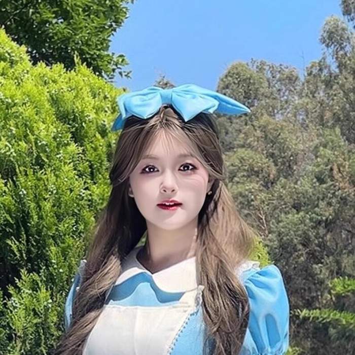 Plus Size Alice Dreamland Maid Lolita Dress and Apron