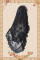 Black Veil