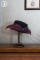 Red Stripe Hat