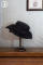Black Hat