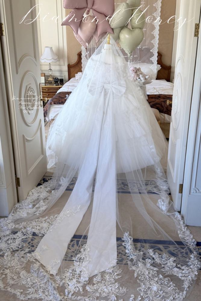 Diamond Honey ~Nebula~ Wedding Gown Dress
