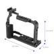 FEICHAO XT20/XT30 Cage Kit 1/4 Compatible with GoPro 10, Sony A7R3,  RS 2 RSC 2 Camera