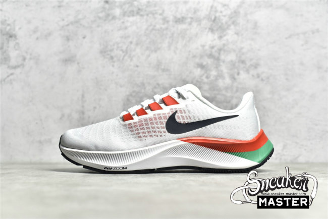 NIKE AIR ZOOM PEGASUS 37 PURE PLATINUM/GREEN/RED-BLACK DD9480-100