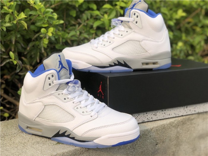 Air Jordan 5 Retro White Stealth (2021)