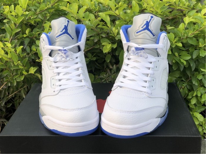 Air Jordan 5 Retro White Stealth (2021)