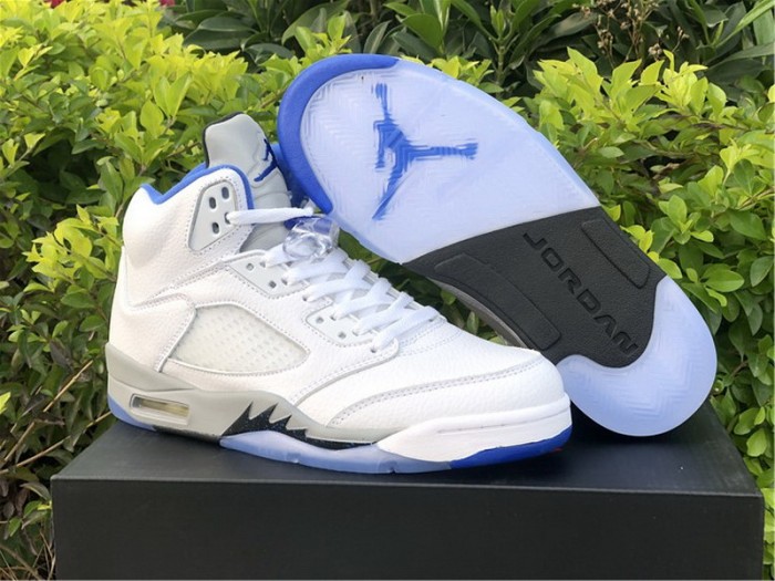 Air Jordan 5 Retro White Stealth (2021)