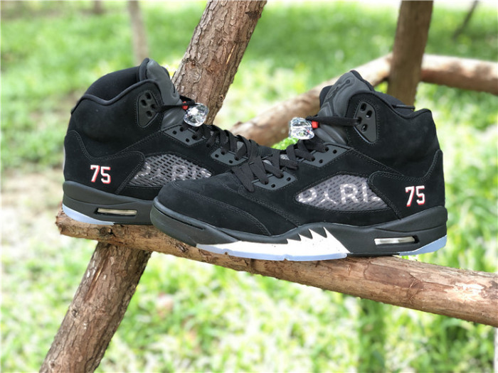 Paris Saint-Germain x Air Jordan 5 Retro 'Paris Saint-Germain'