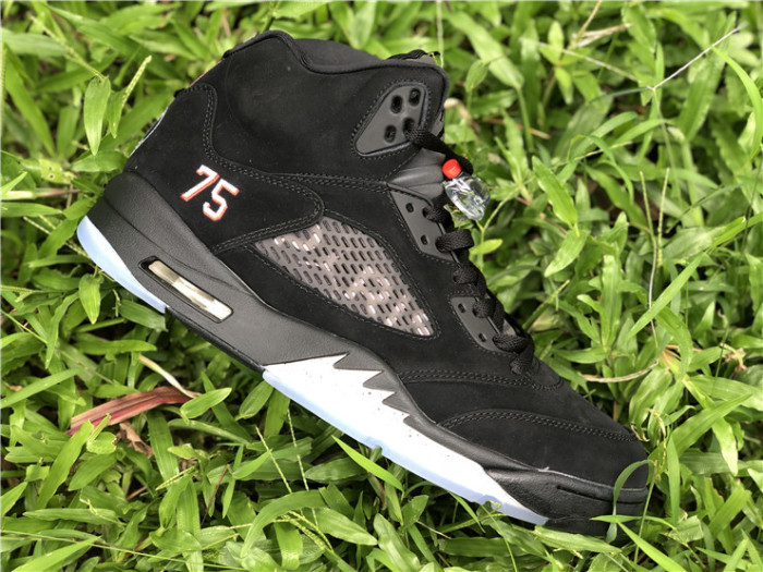 Paris Saint-Germain x Air Jordan 5 Retro 'Paris Saint-Germain'