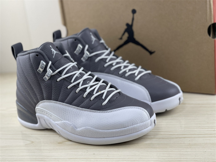 Authentic Air Jordan 12 “Stealth”