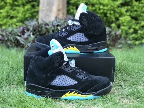 Air Jordan 5 Aqua