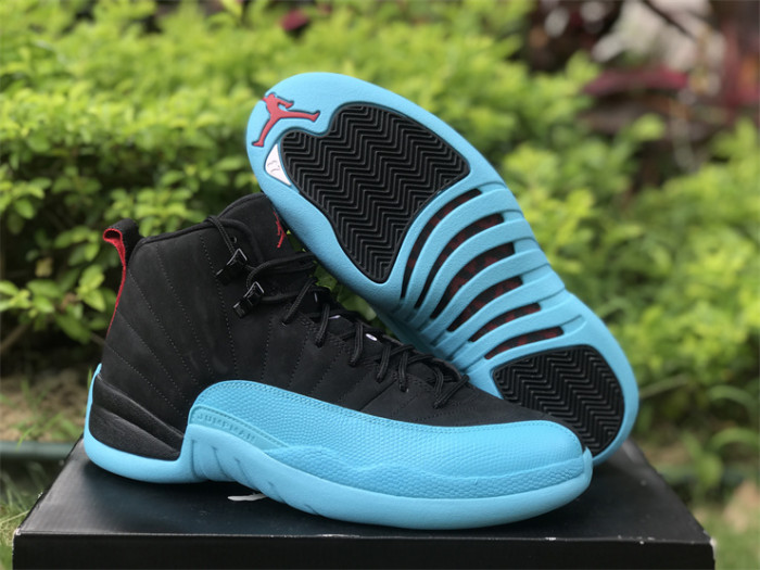 Air Jordan 12 Gamma Blue