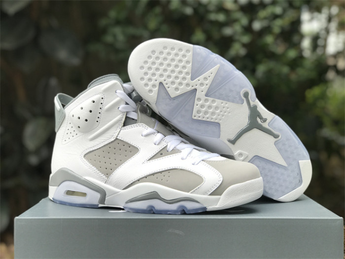 Air Jordan 6 “Cool Grey”