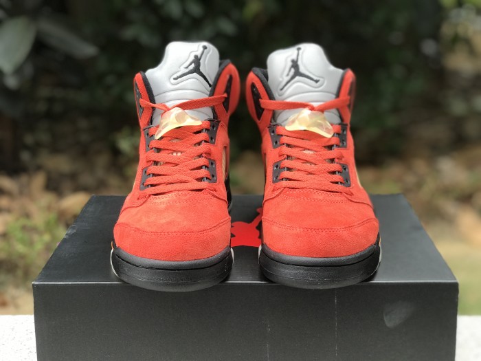 Air Jordan 5 “Mars For Her”