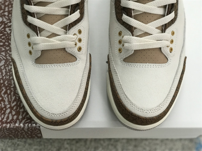 Air Jordan 3 GS“Palomino”