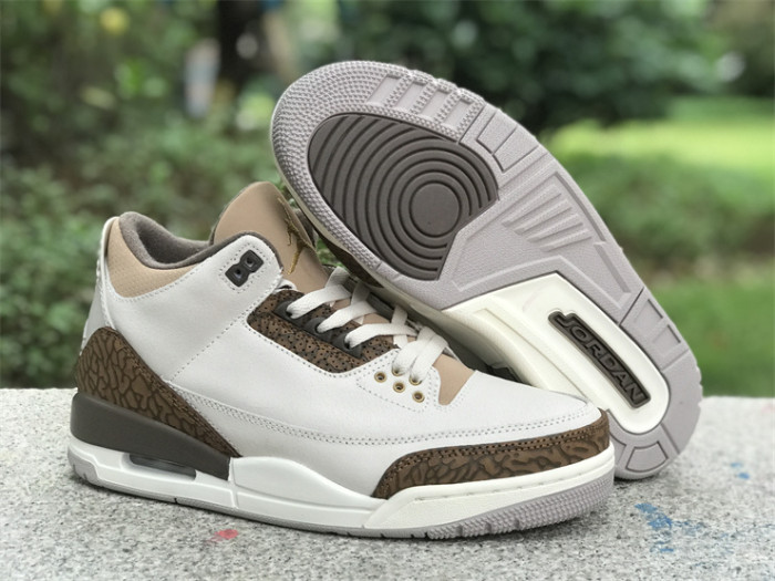 Air Jordan 3 GS“Palomino”