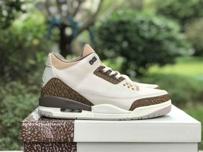 Air Jordan 3 GS“Palomino”