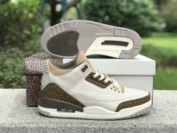 Air Jordan 3 GS“Palomino”