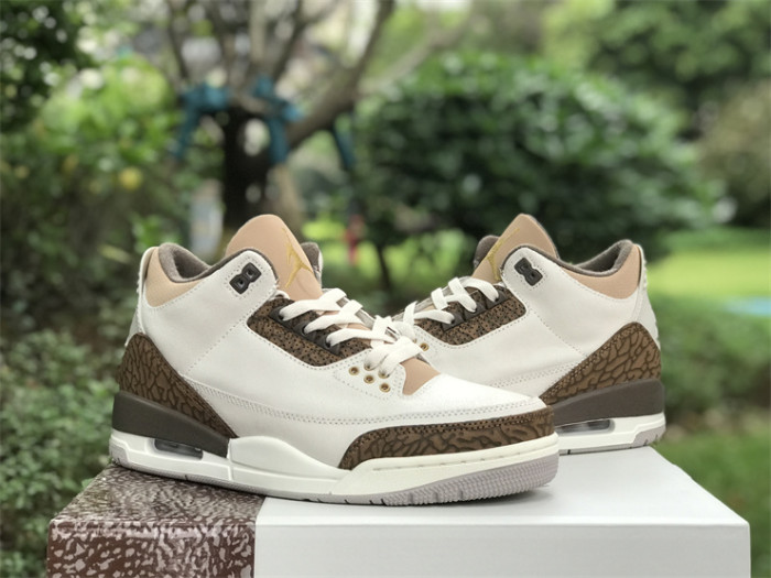 Air Jordan 3 GS“Palomino”