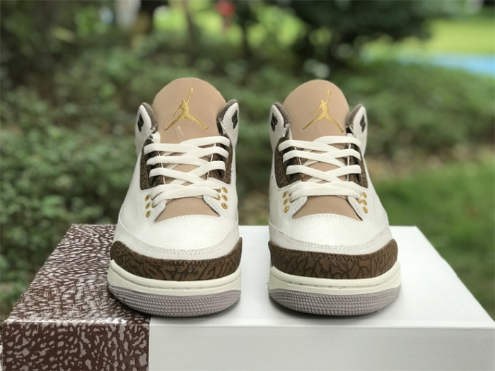 Air Jordan 3 GS“Palomino”