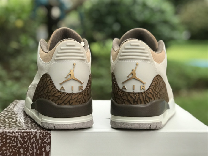 Air Jordan 3 GS“Palomino”