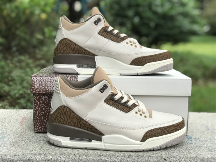 Air Jordan 3 GS“Palomino”